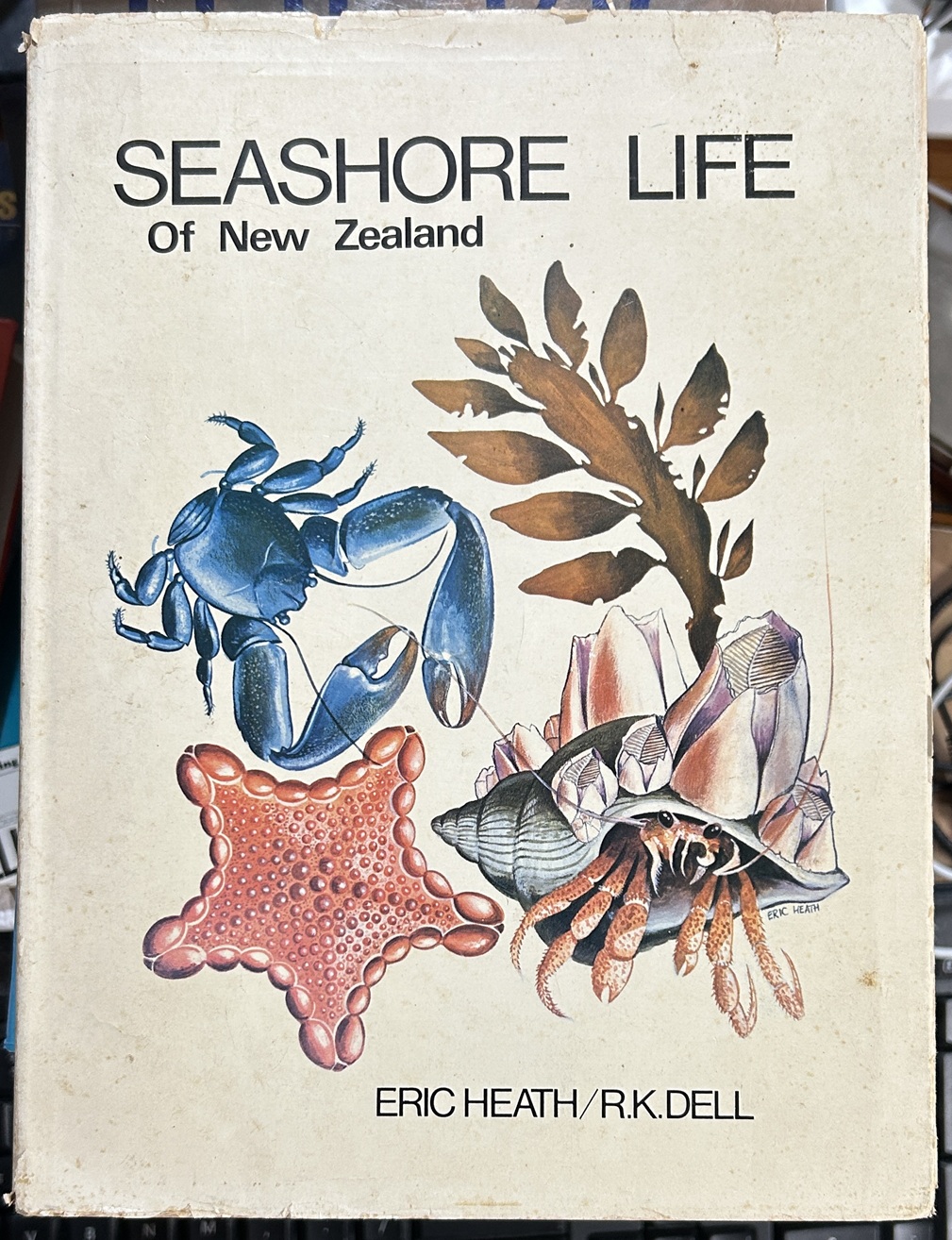 Seashore Life of New Zealand.by R K Dell