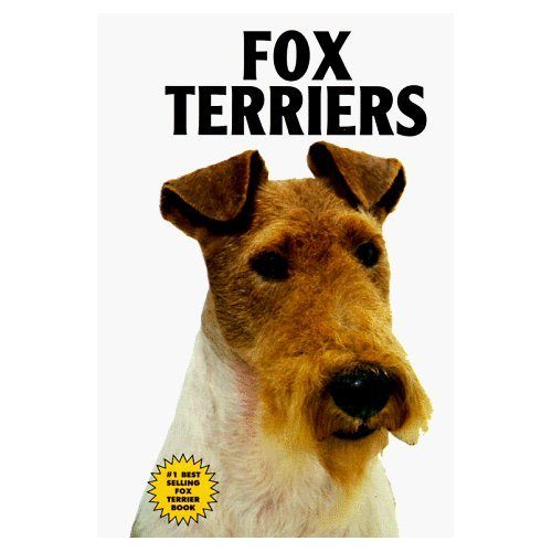 Fox Terriers by Evelyn Miller
