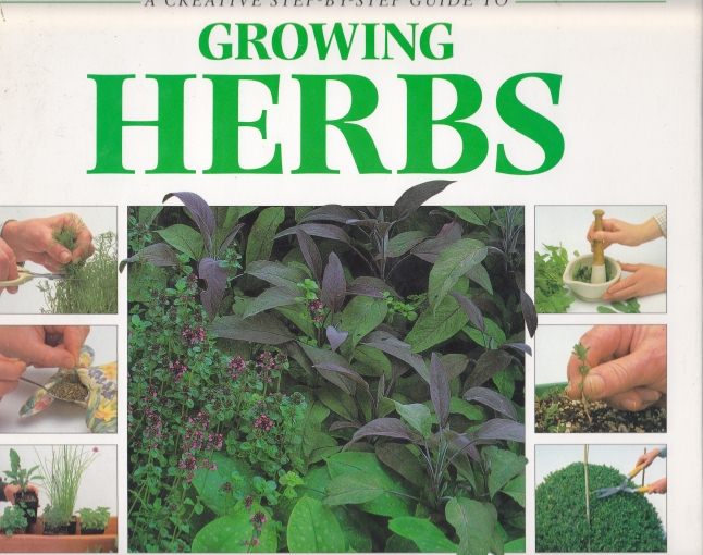 Growing Herbs A Creative Step-by-Step Guide by Yvonne Rees