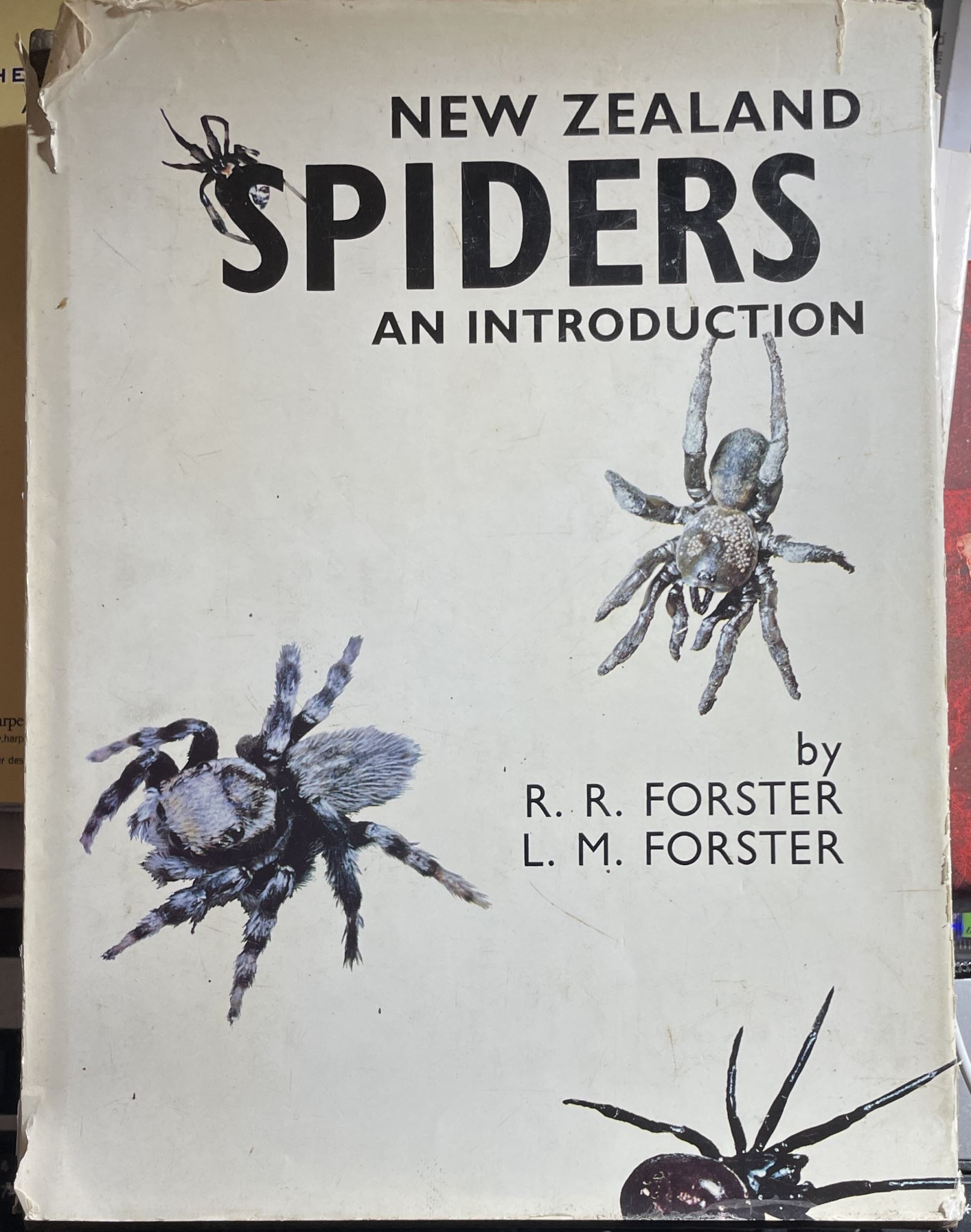 New Zealand Spiders an Introduction by R. R. & L. M. Forster