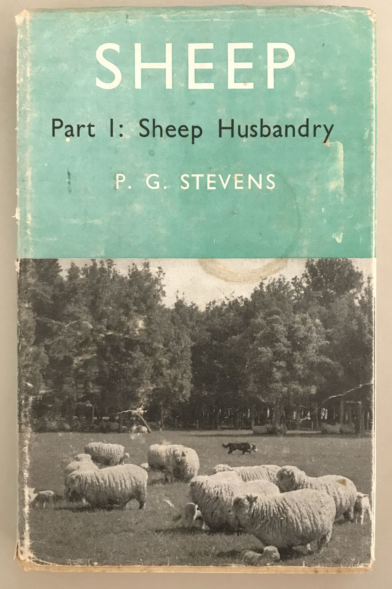 Sheep Part 1: Sheep Husbandry by P. G. Stevens