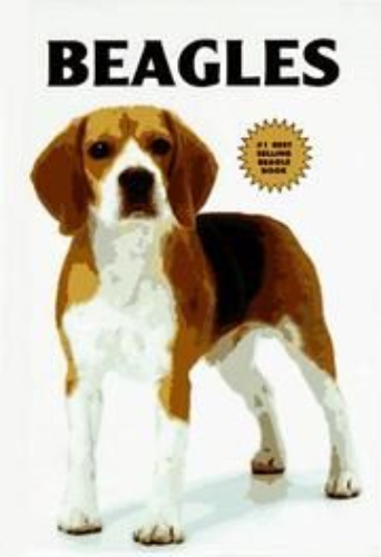 Beagles by Beverly Pisano