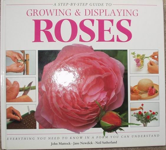 A Step-by-step guide to growing & displaying Roses