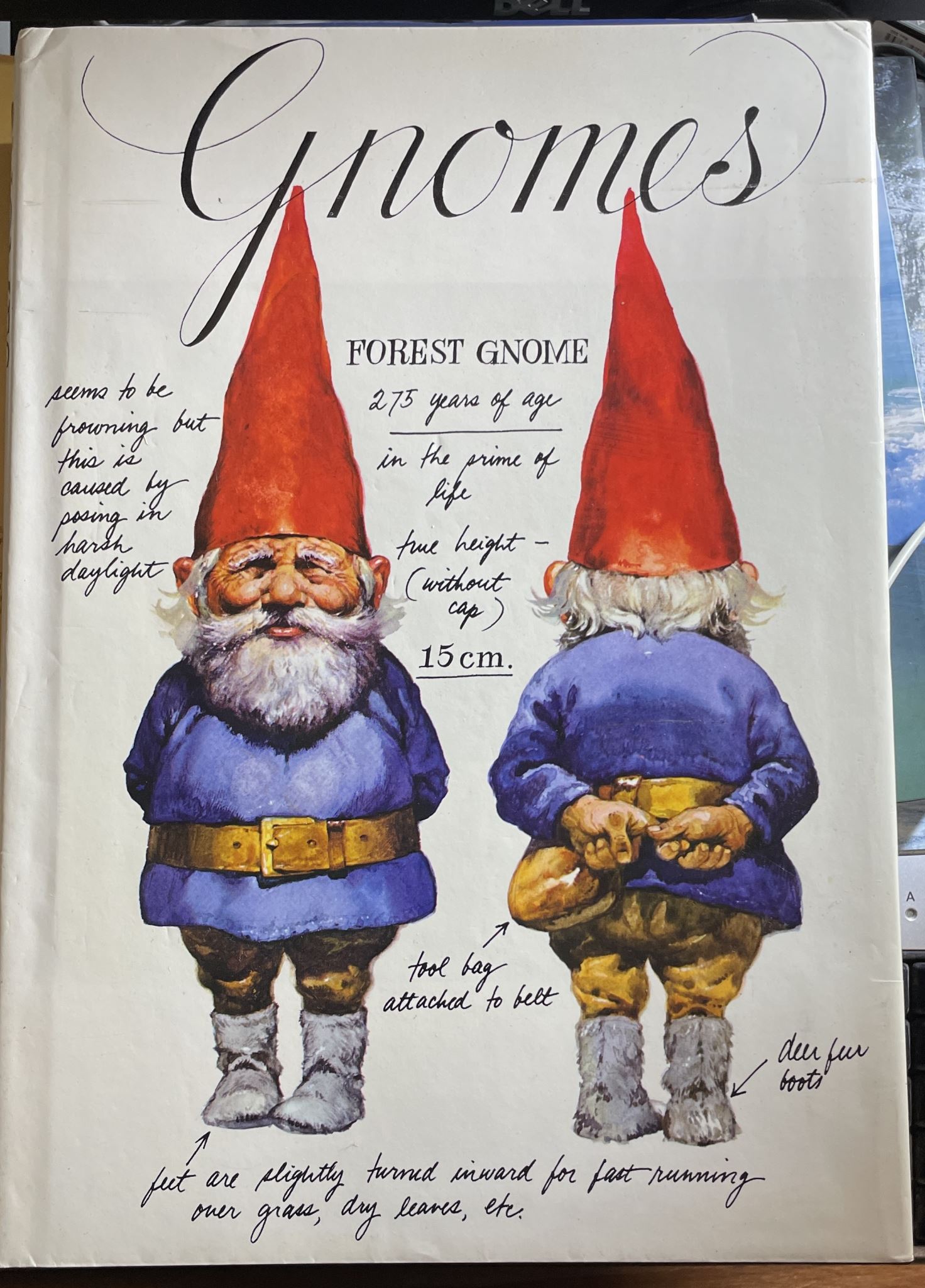 Gnomes by Rien Poortvliet & Wil Huygen