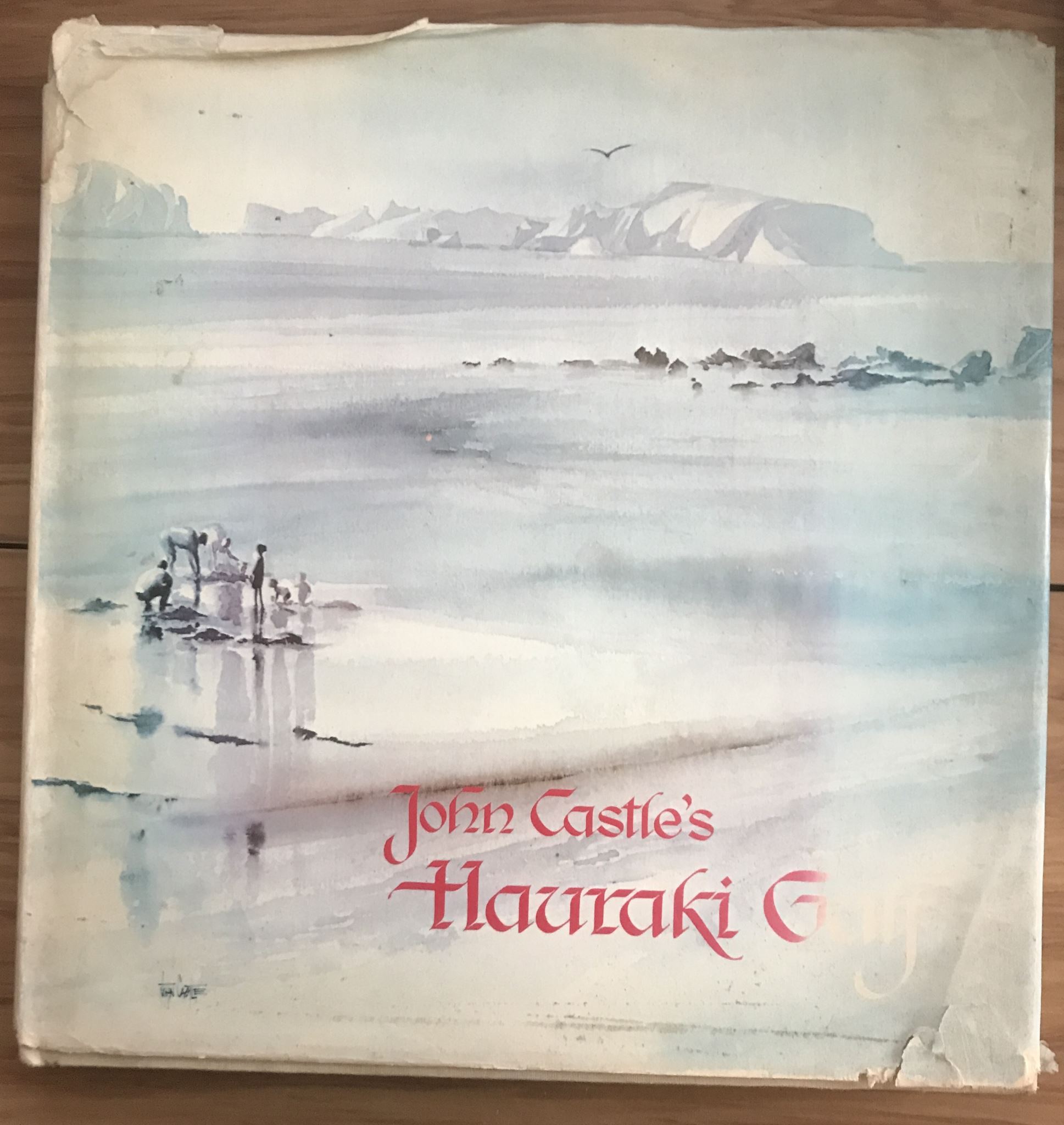 Hauraki Gulf by John Castle