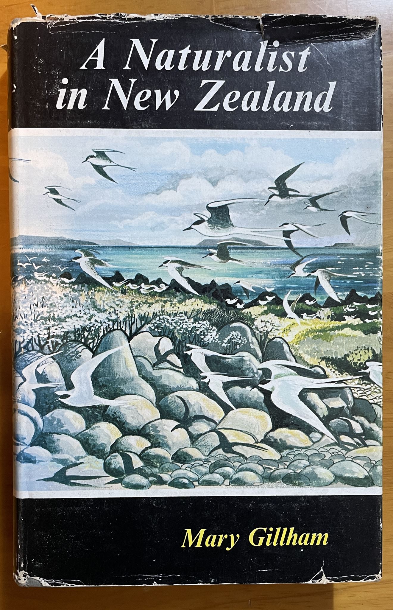 A Naturalist in New Zealand by Mary Gillham
