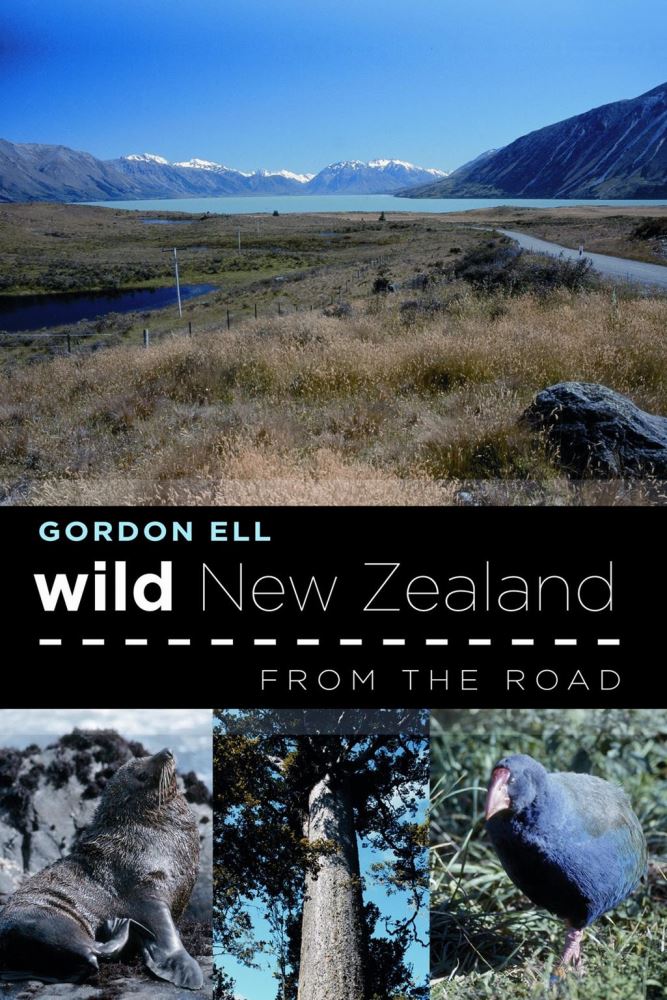 Wild New Zealand From the Road by Gordon Ell