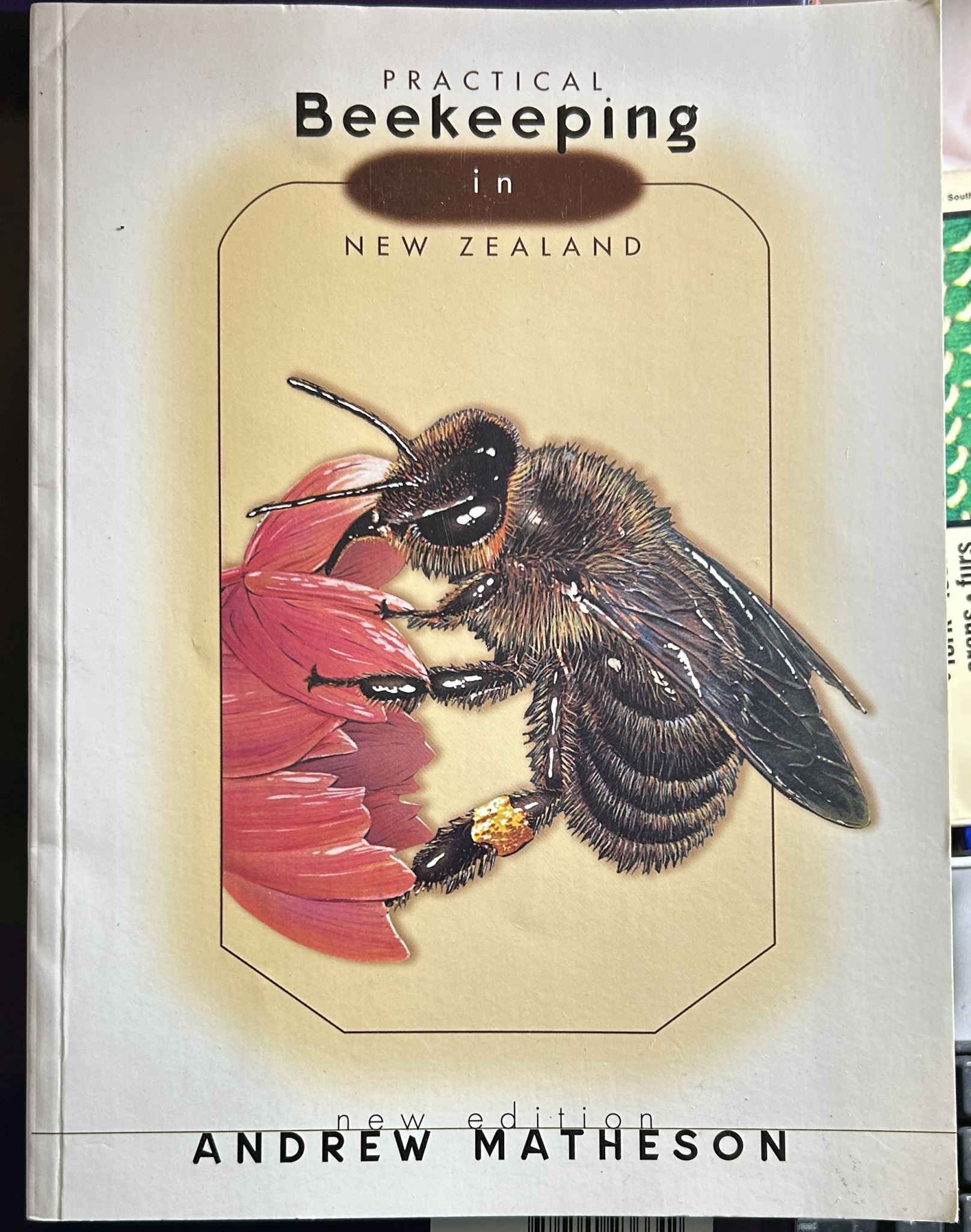 Practical Beekeeping in New Zealand by Andrew Matheson