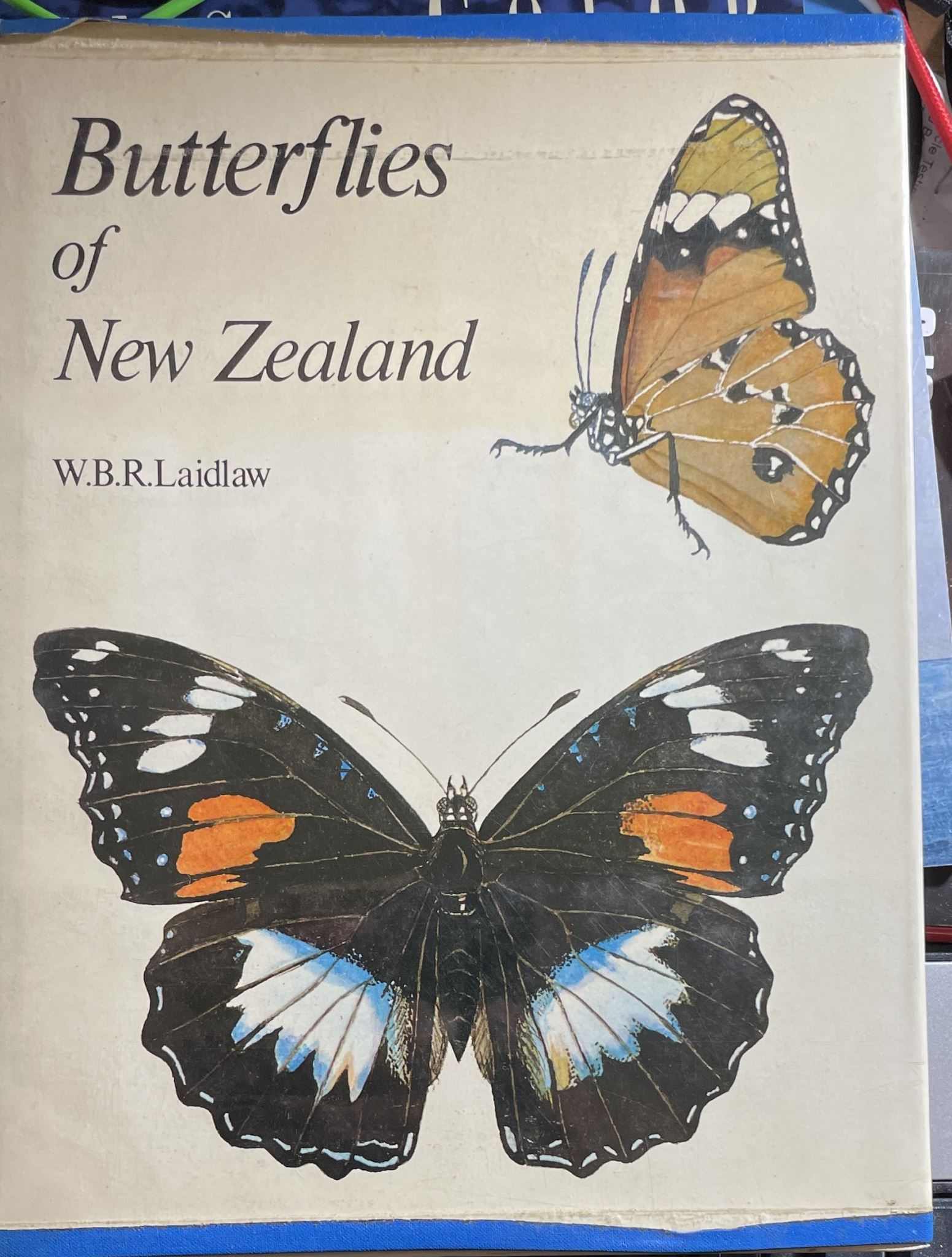 Image for Butterflies of New Zealand Butterflies of New Zealand