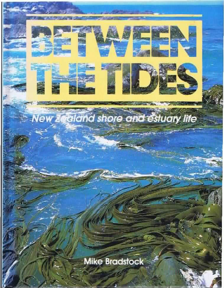 Between the Tides New Zealand Shore and Estuary Life by Mike Bradstock