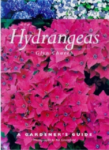Hydrangeas A New Zealand Gardener's Guide