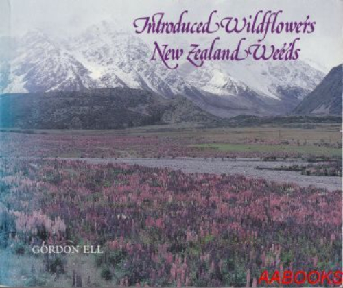 Introduced Wildflowers New Zealand Weeds