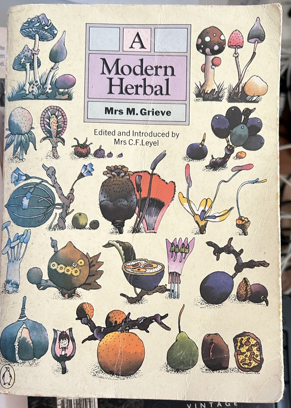 A Modern Herbal by Mrs M Grieve