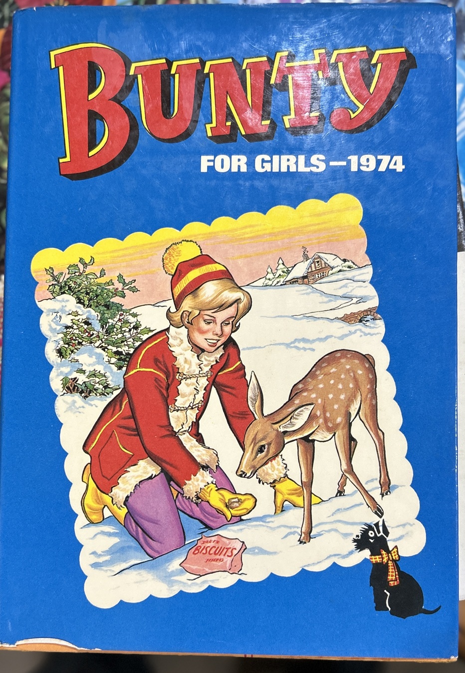 Bunty For Girls 1974