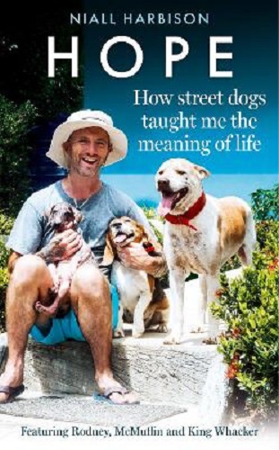 Hope How Street Dogs Taught Me the Meaning of Life