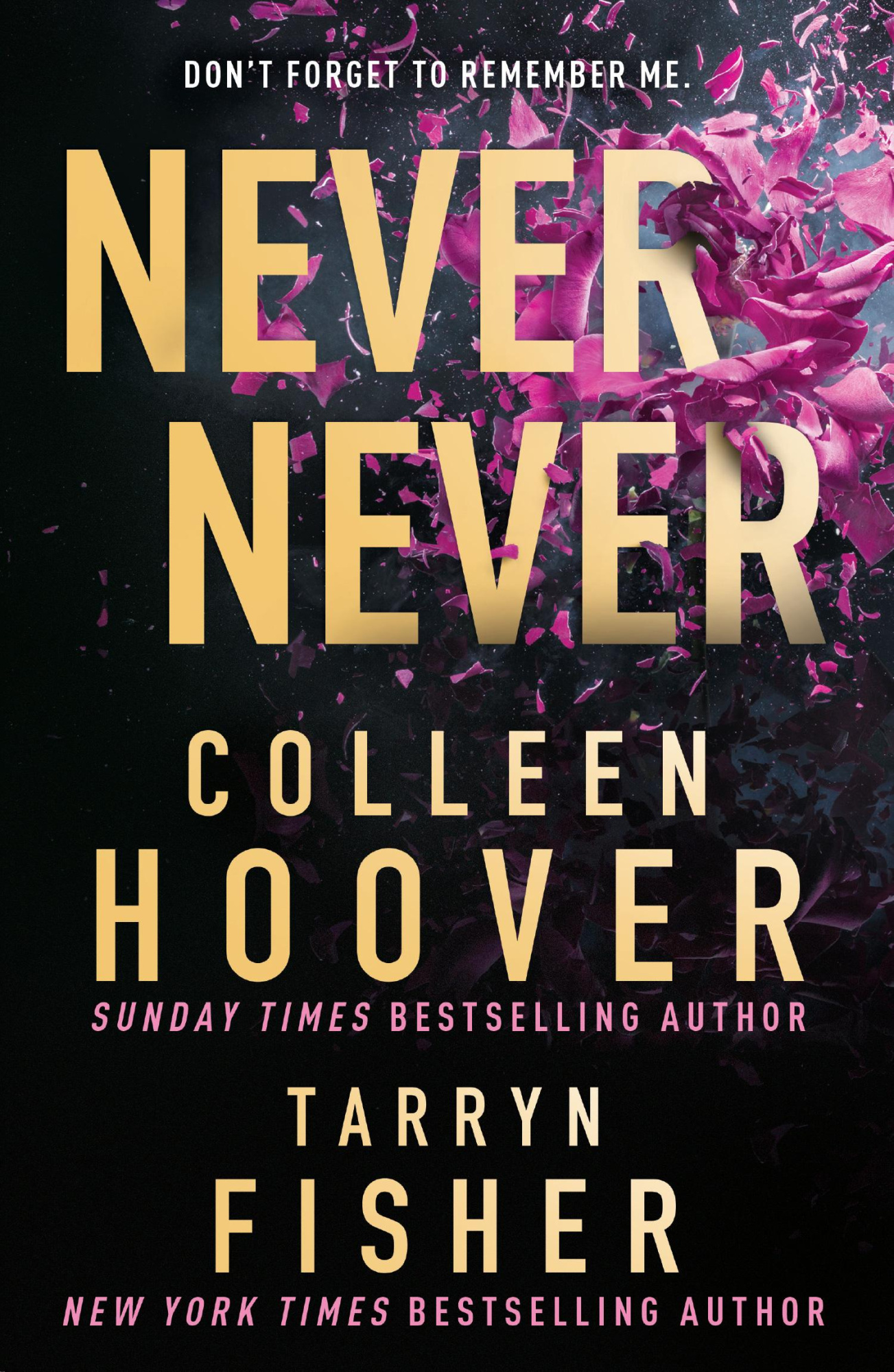 Never Never By Colleen Hoover, Tarryn Fisher