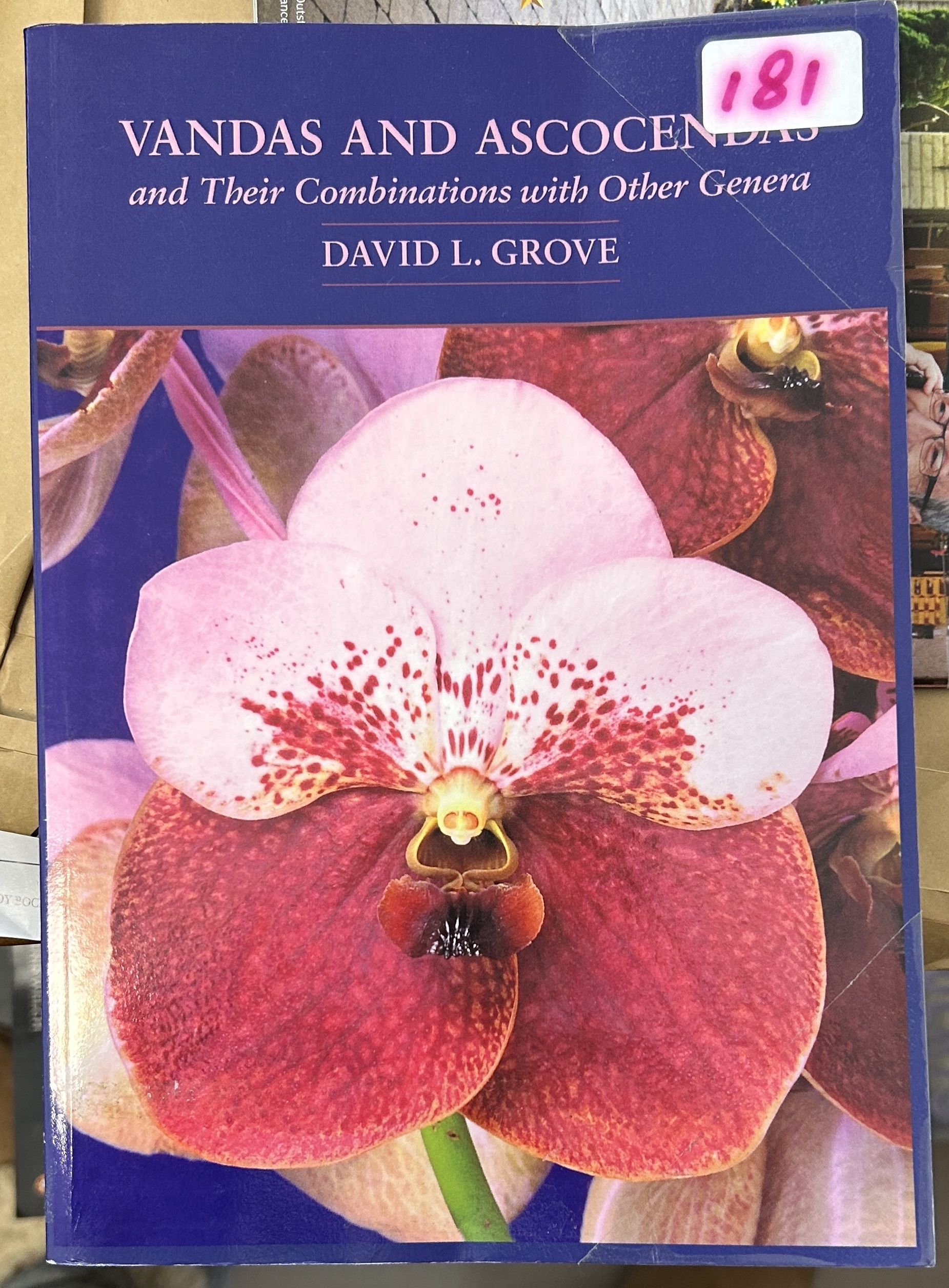 Vandas and Ascocendas and Their Combinations with Other Genera