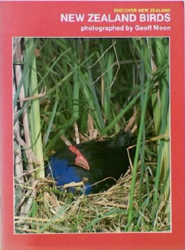 Discover New Zealand: New Zealand Birds