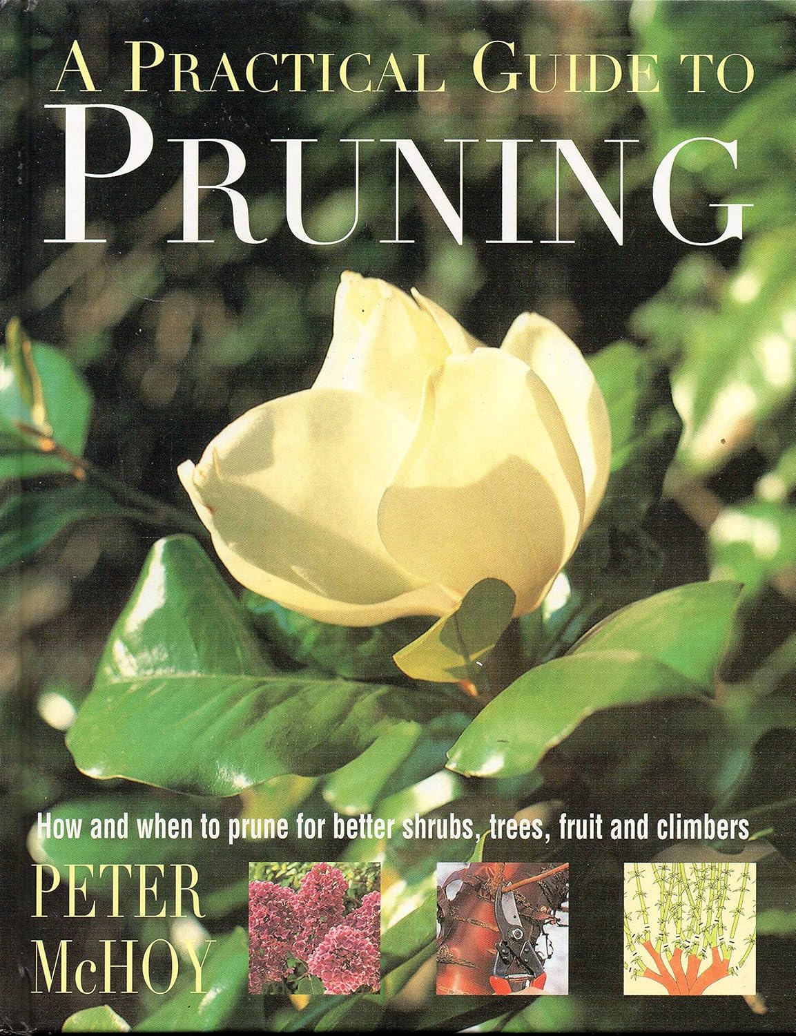 A Practical Guide to Pruning by Peter McHoy
