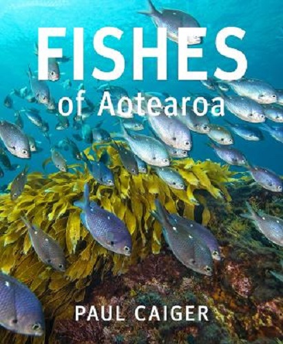 Image for Fishes of Aotearoa By Paul Caiger Fishes of Aotearoa By Paul Caiger