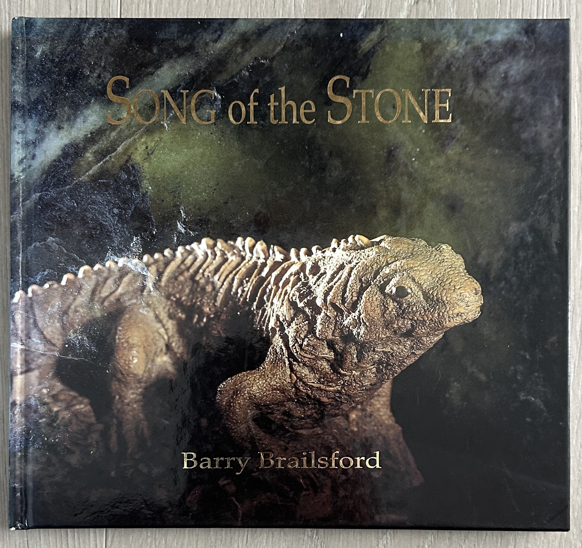 Song of the Stone by Barry Brailsford