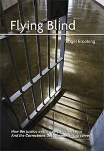 Flying Blind: How the Justice System Perpetuates Crime and the Corrections Department Fails to Correct