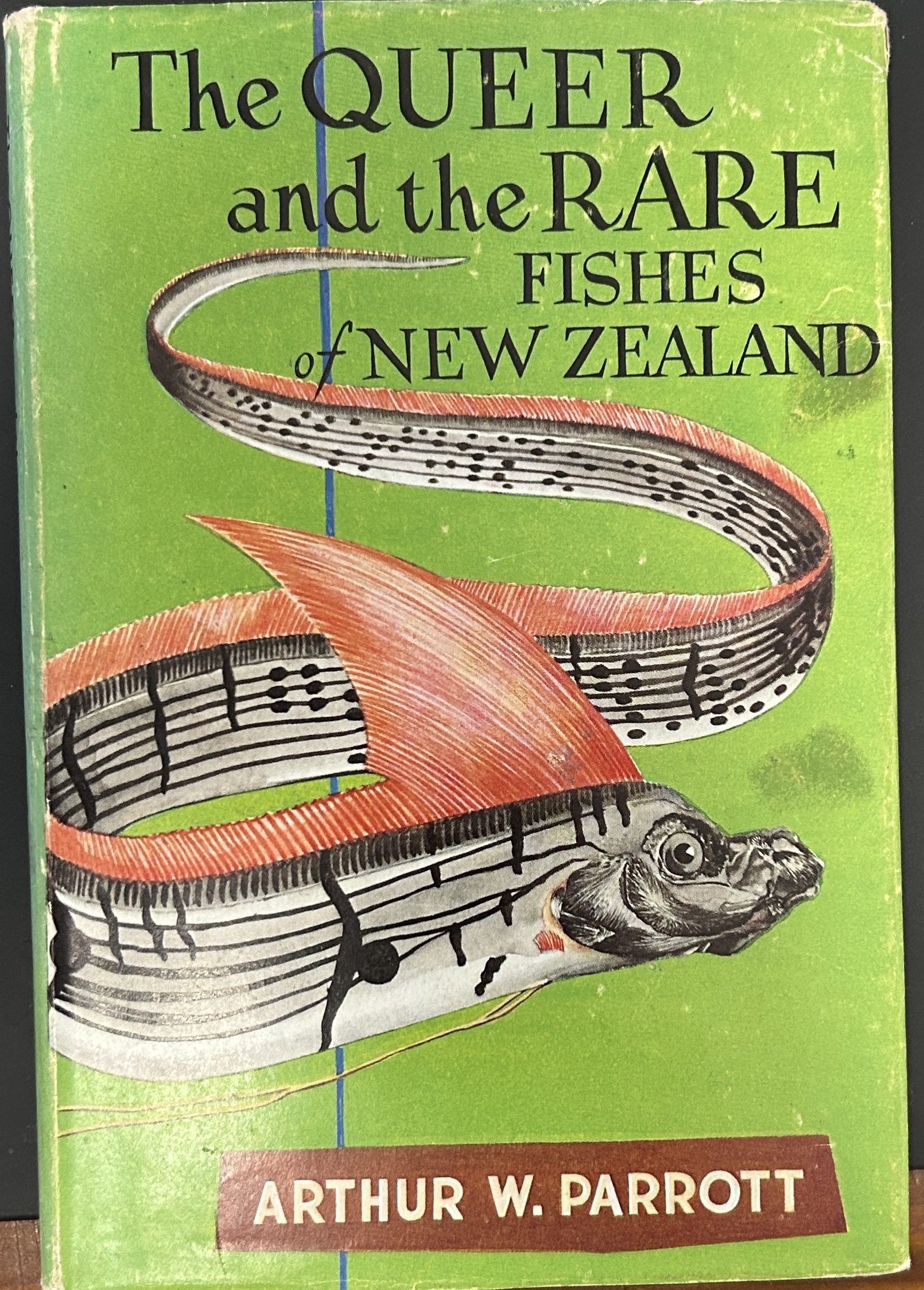 The Queer and the Rare Fishes of New Zealand by Arthur W Parrott
