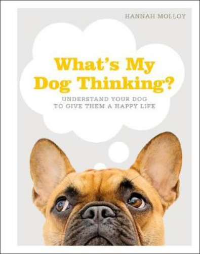 What's My Dog Thinking Understand Your Dog to Give Them a Happy Life