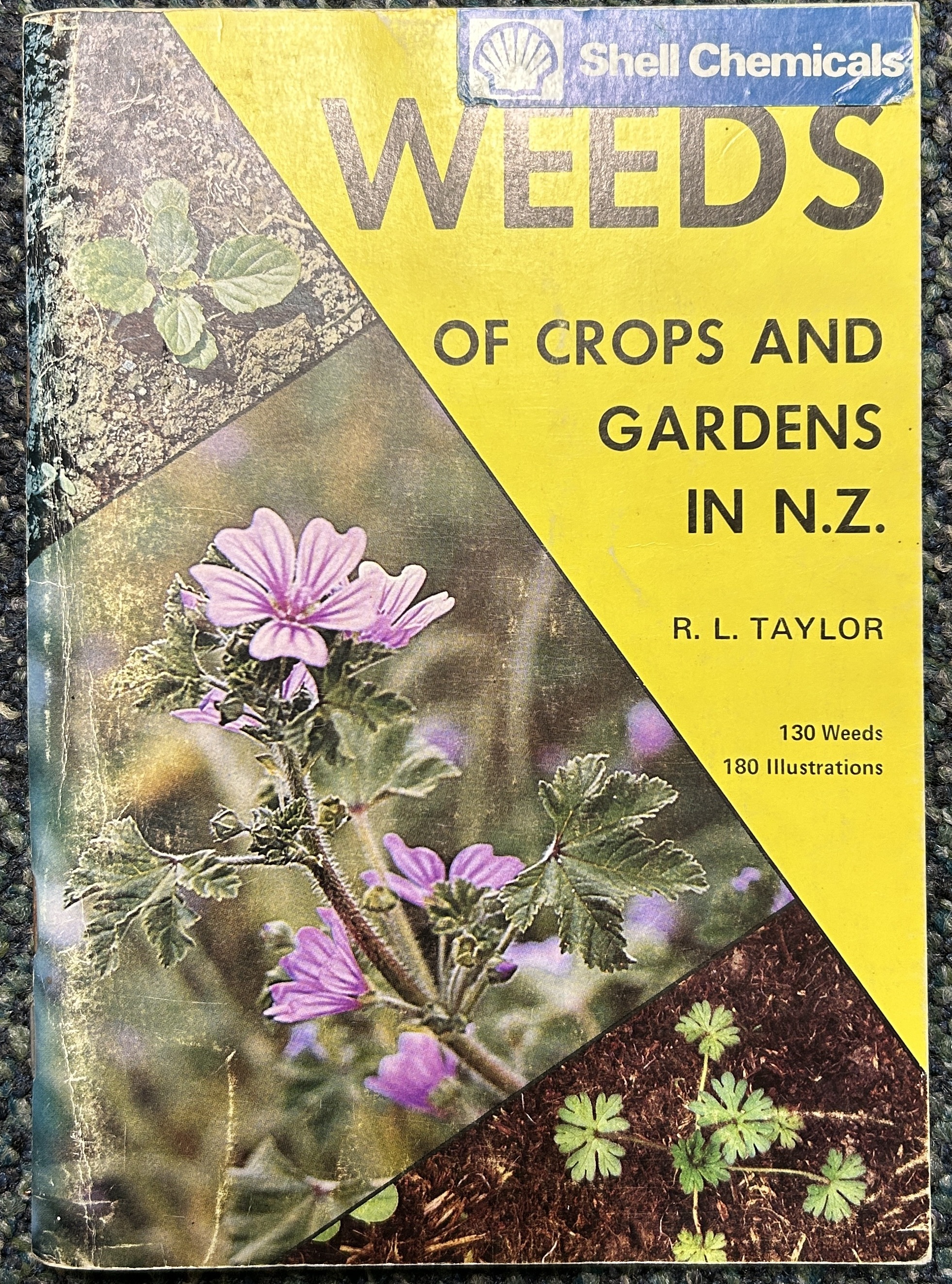 Weeds of Crops & Gardens in NZ