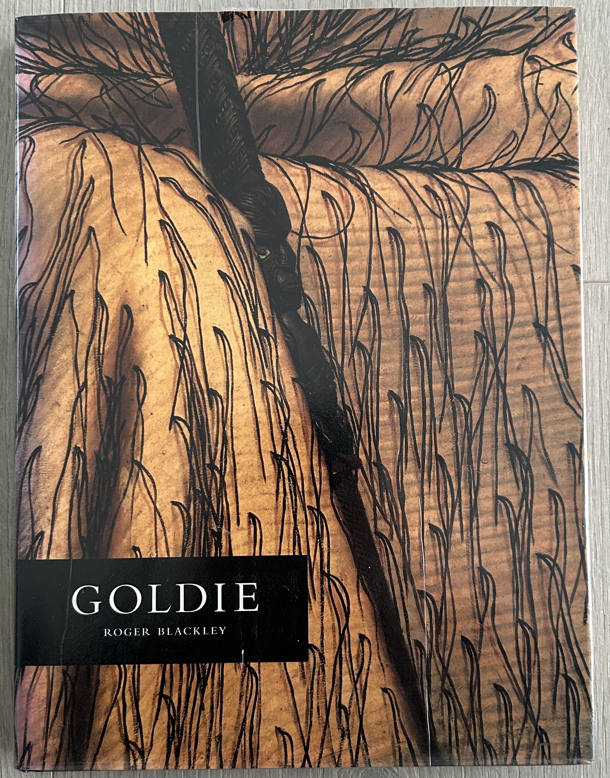 Image for Goldie Art of Charles F Goldie By Roger Blackley Goldie Art of Charles F Goldie By Roger Blackley