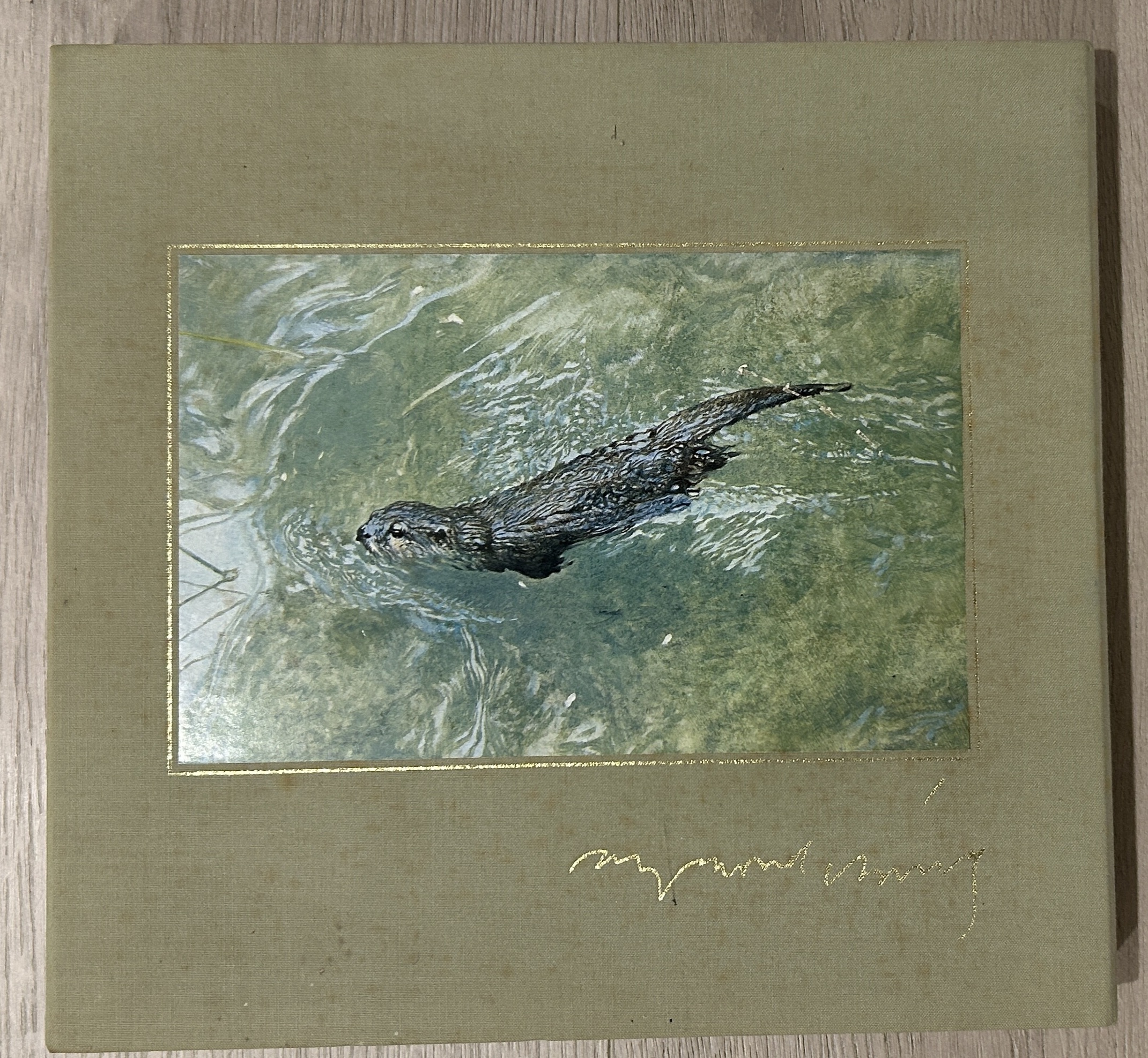 Image for Wild Portraits by Raymond Harris-Ching Limited Edition 23 of 25 Wild Portraits by Raymond Harris-Ching Limited Edition 23 of 25