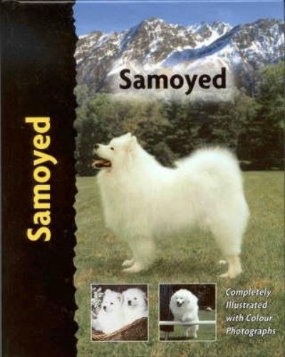 Samoyed by Richard G Beauchamp