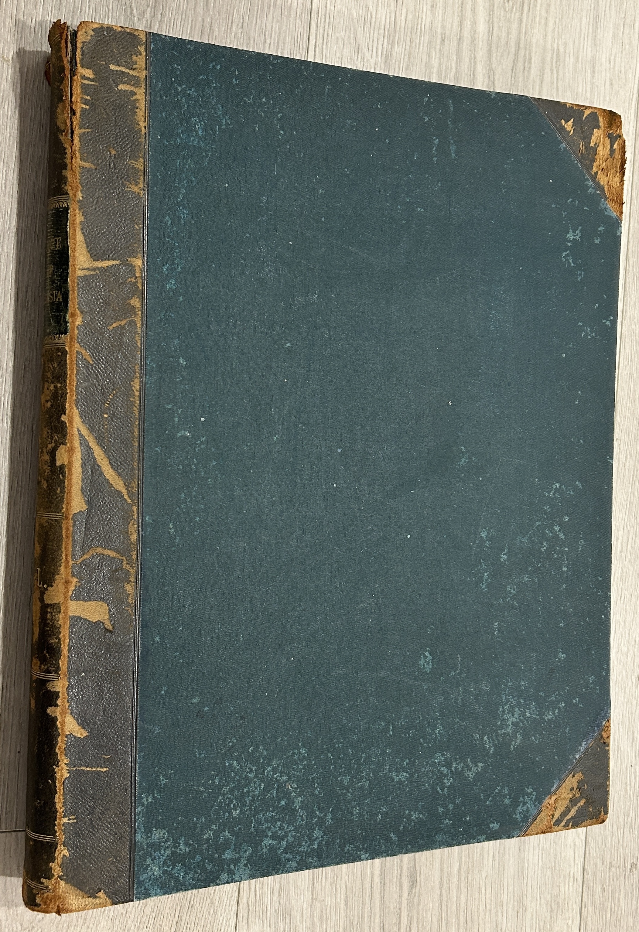 Picturesque Atlas of Australasia Vol I and II (1886, 1887)