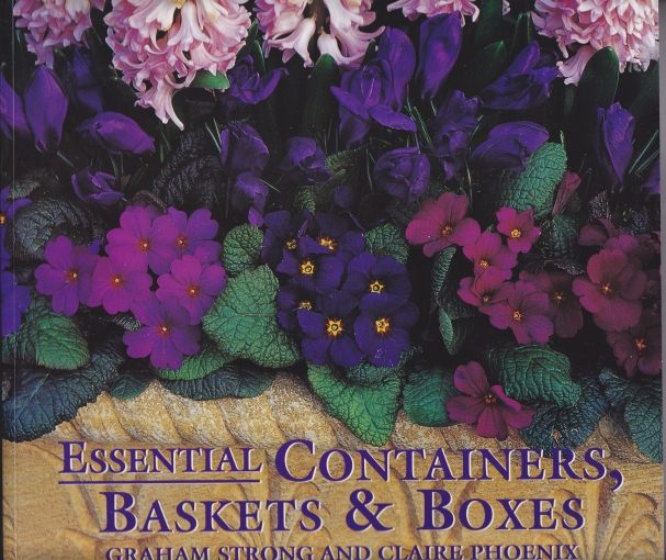 Essential Containers, Baskets & Boxes by Graham Strong and Claire Phoenix