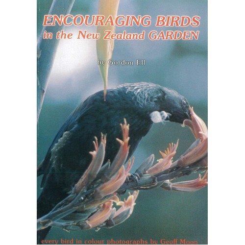 Encouraging Birds in the New Zealand Garden