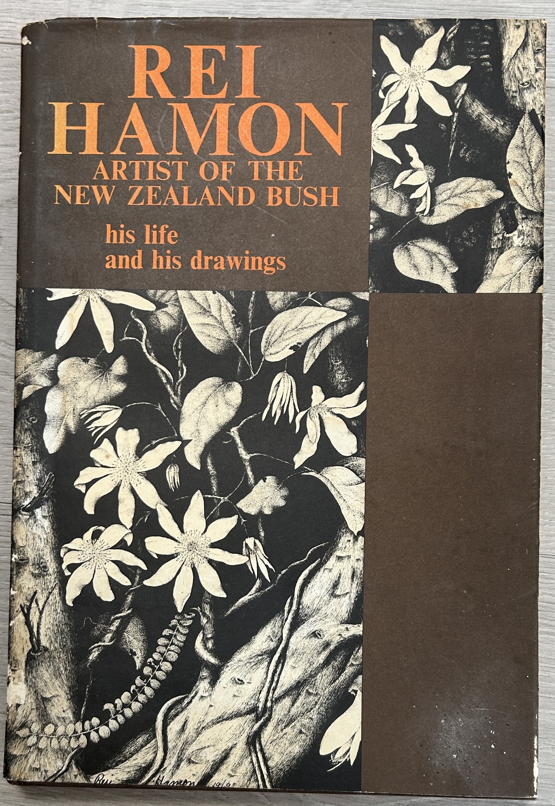 Rei Hamon Artist of the New Zealand Bush