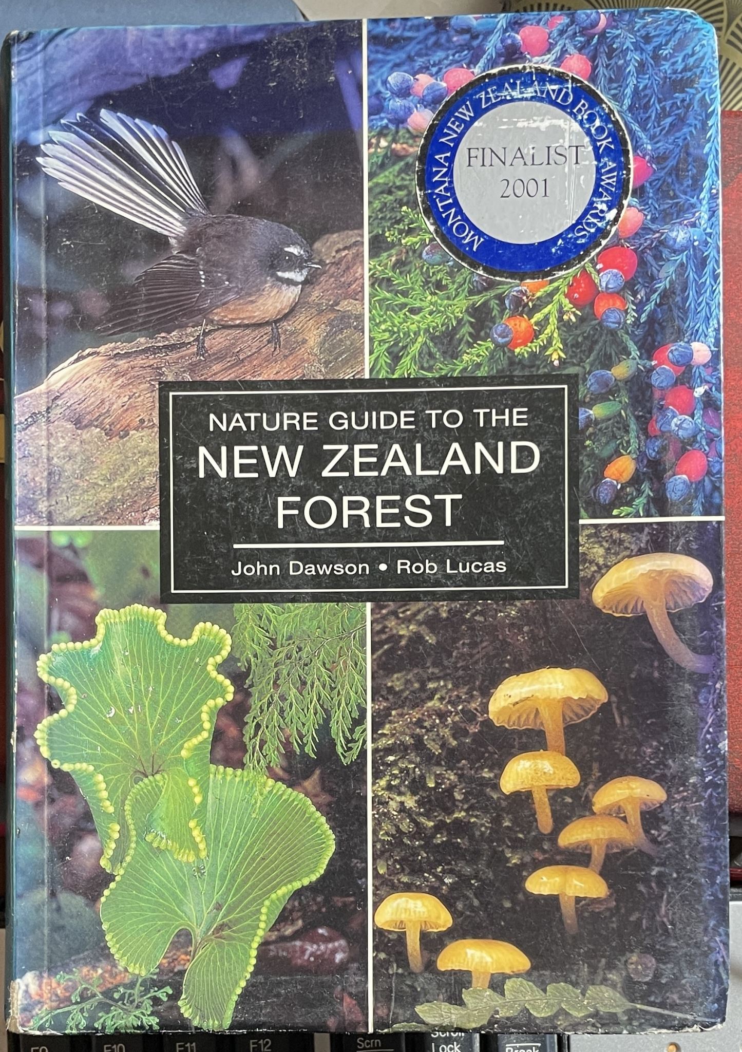 The Nature Guide to the New Zealand Forest