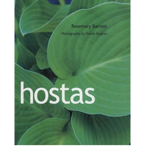 Hostas by Rosemary Barrett
