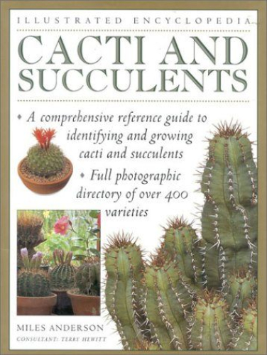 Illustrated Encyclopedia Cacti and Succulents by Miles Anderson