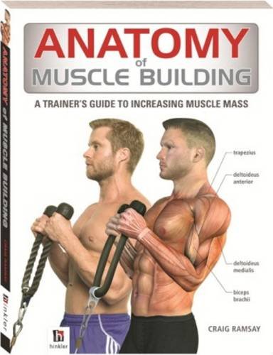 Anatomy of Muscle Building: A Trainer's Guide to Increasing Muscle Mass