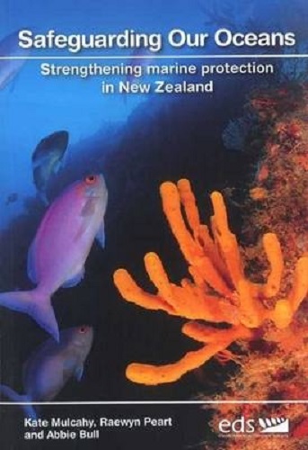 Safeguarding Our Oceans by Kate Mulcahy