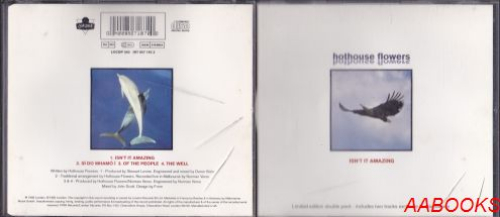 Hothouse Flowers Isn't it Amazing