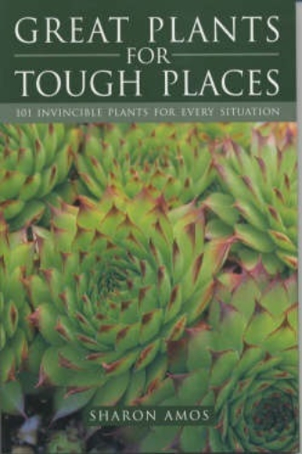 Great Plants for Tough Places by Sharon Amos