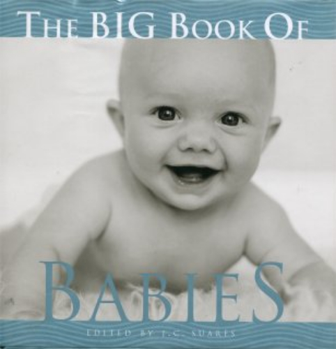 The Big Book of Babies by J. C. Suares