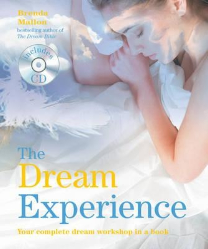 The Dream Experience with CD You Complete Dream Workshop in a Book