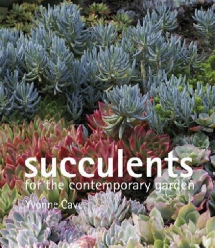 Succulents for the Contemporary Garden by Yvonne Cave