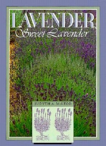Lavender Sweet Lavender by Judyth A McLeod