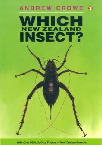 Which New Zealand Insect by Andrew Crowe