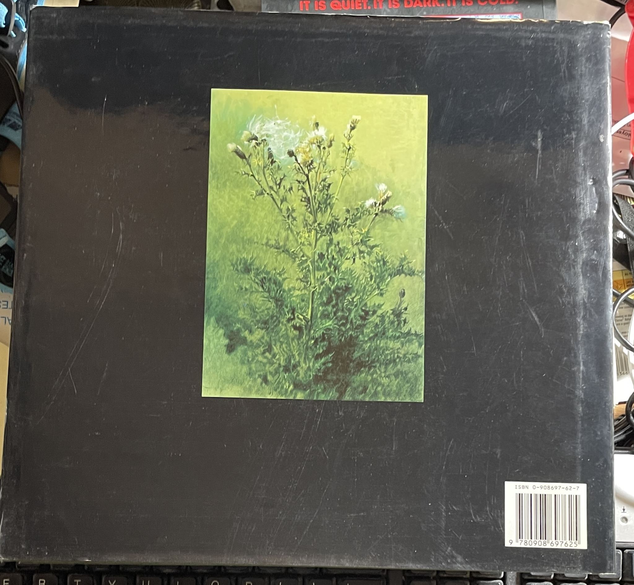 Voice From the Wilderness by Ray Harris-Ching