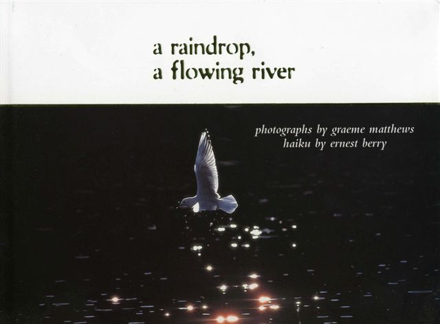 A Raindrop A Flowing River Photos and Haiku Poetry Signed